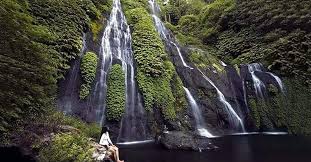 keuntungan thefishtopia, fasilitas thefishtopia, keunggulan thefishtopia, program thefishtopia, lokasi thefishtopia